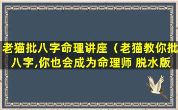 老猫批八字命理讲座（老猫教你批八字,你也会成为命理师 脱水版）